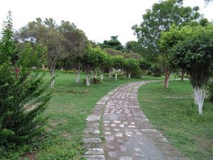 rock garden talwara township