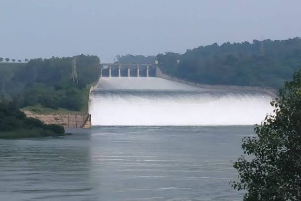 Pong Dam से भारी मात्रा में पानी छोड़े जाने की चेतावनी